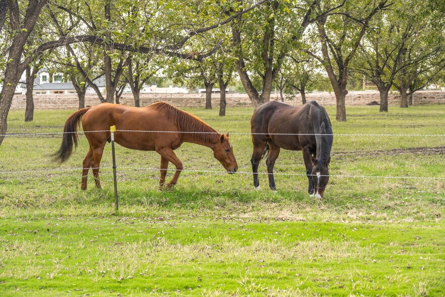 More Photos Of 7003 McNutt Rd, Anthony Land For Sale