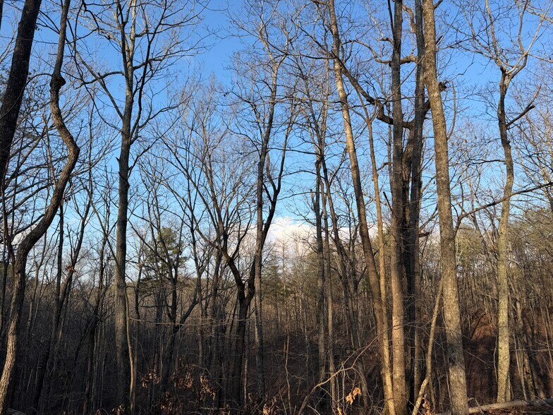 More Photos Of 260 Arnold Rd NE, Fairmount Land For Sale