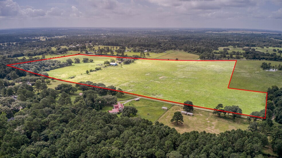 More Photos Of 25396 Magnolia Rd, Hockley Land For Sale