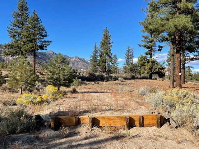 More Photos Of 415-025 Scott Rd, Doyle Land For Sale