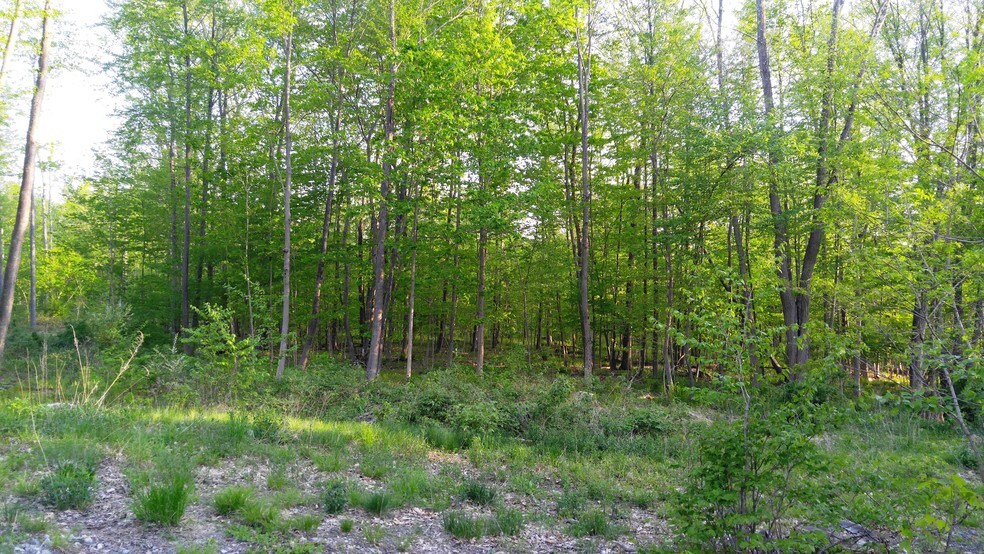 More Photos Of 312 Merrow Rd, Tolland Land For Sale