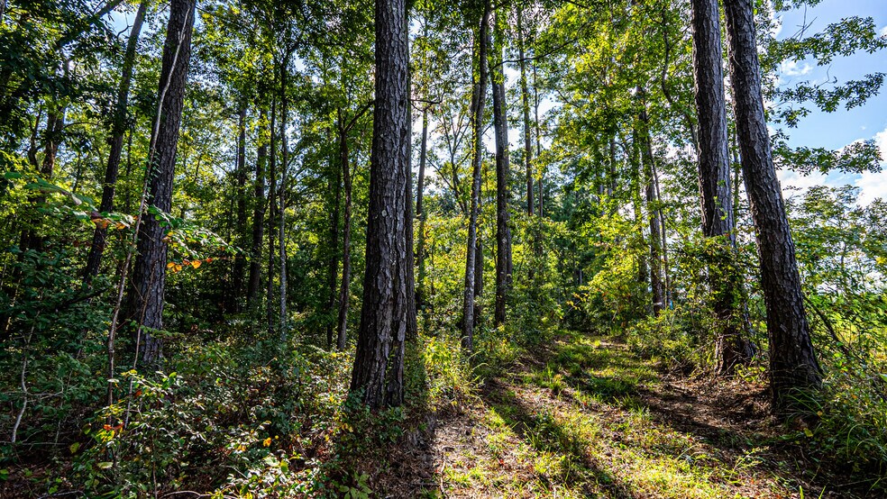 More Photos Of Tuten Road, Round O Land For Sale