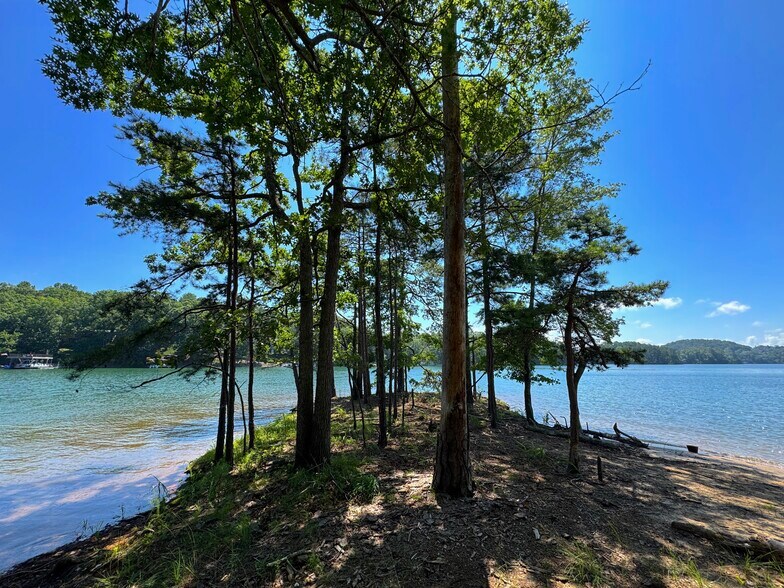 More Photos Of 3475 Cook Rd, Gainesville Land For Sale