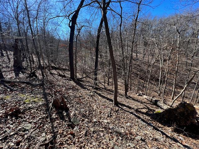More Photos Of 450630 S Old Mill Road, Afton Trailer Camper Park For Sale