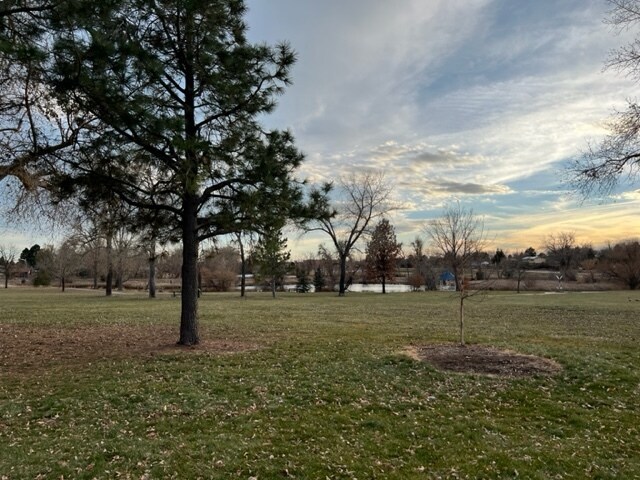 More Photos Of 11184 Huron St, Northglenn Office For Lease