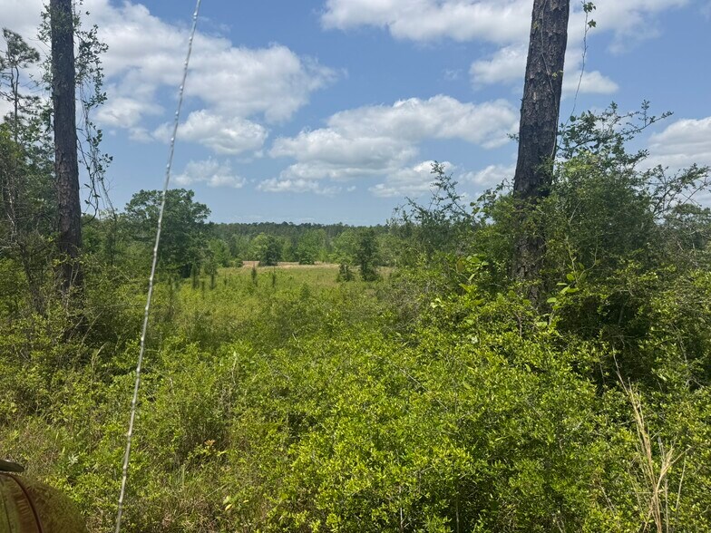 More Photos Of 39207 State Highway 59, Bay Minette Land For Sale