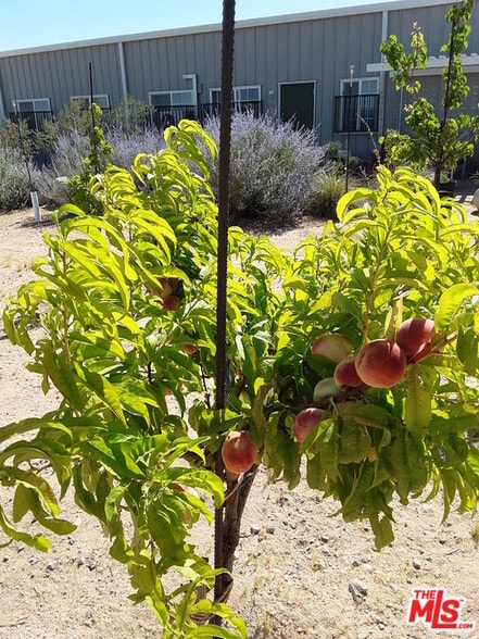 More Photos Of 9025 Camp Rock Rd, Lucerne Valley Veterinarian Kennel For Sale
