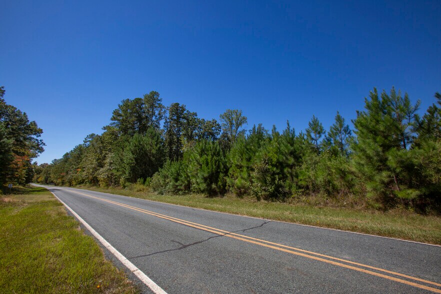 More Photos Of Walter Bright Road & 15-501, Sanford Land For Sale