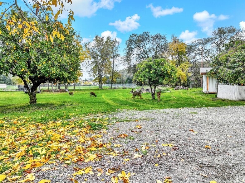 More Photos Of 300-316 Butcher Rd, Vacaville Land For Sale