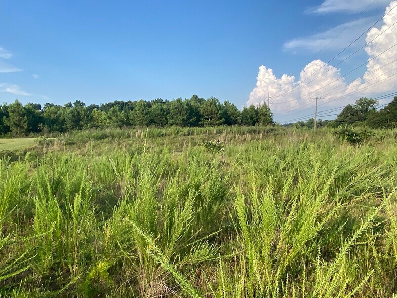 More Photos Of Charles Hardy Pkwy, Dallas Land For Sale