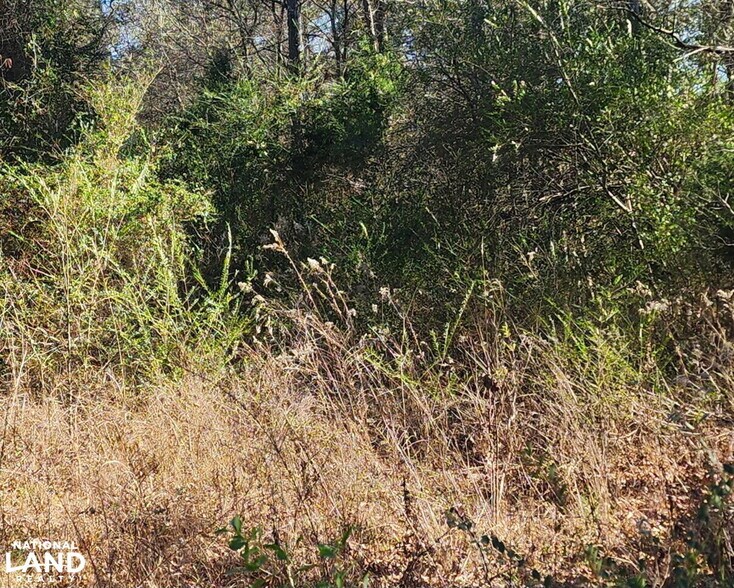 More Photos Of 0 S Sauty Rd, Langston Land For Sale