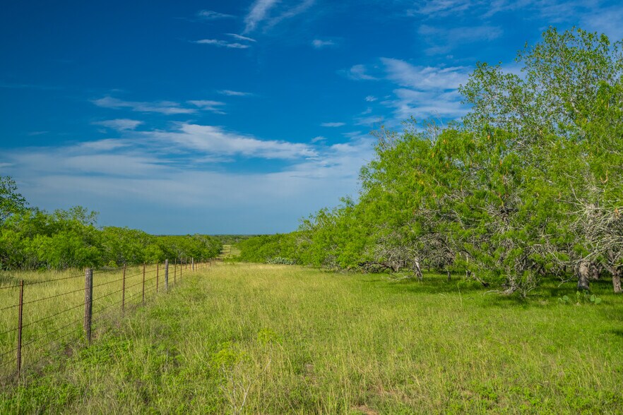 More Photos Of 5279 FM 1117, Nixon Land For Sale