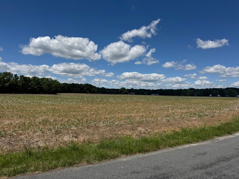 More Photos Of 953 White Marsh Branch Rd, Harrington Land For Sale