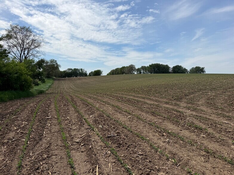 More Photos Of TBD 31st NW Ave @ HWY 52/75th Street NW, Oronoco Land For Sale