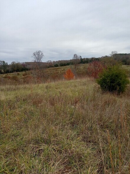 More Photos Of 1486 Martin Road, Ware Shoals Land For Sale