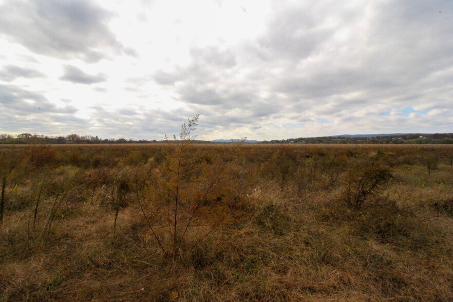 More Photos Of 16094 Evergreen Valley Rd, Timberville Specialty For Lease