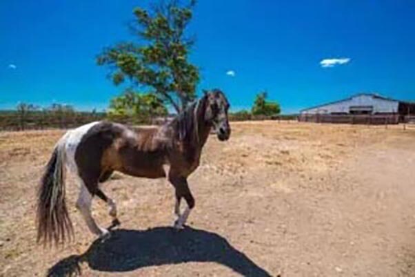 More Photos Of 64 Thoroughbred Way, Fredericksburg Land For Sale