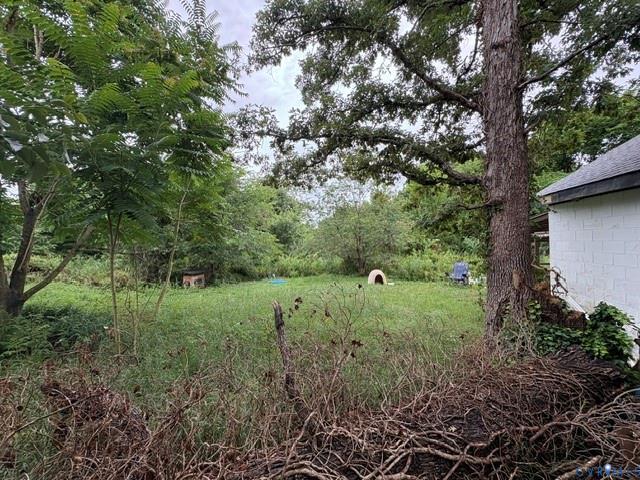 More Photos Of 13500 Route 1, Chester Land For Sale