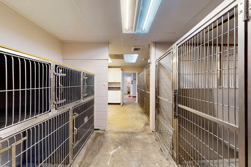 More Photos Of 7447 Martin Way E, Lacey Veterinarian Kennel For Sale