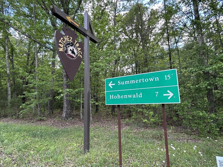 More Photos Of 3176 Summertown Hwy, Summertown Land For Sale