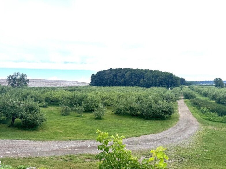 More Photos Of 153-155 Rang Sainte-Sophie, Oka Winery Vineyard For Sale