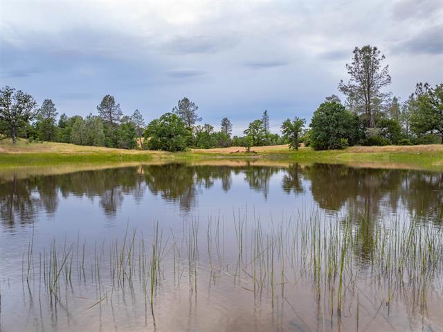 More Photos Of 14015 Hwy 36 W, Cottonwood Land For Sale