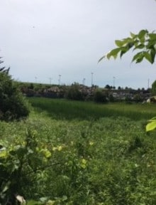 More Photos Of 2100 Johns Dr, Glenview Warehouse For Sale