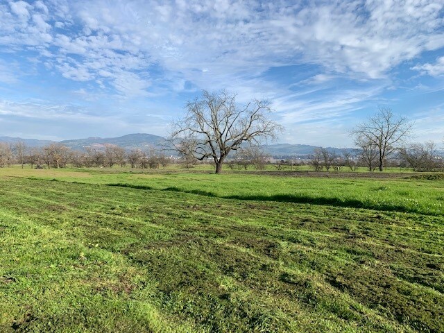 Primary Photo Of 0 Golden Gate Dr, Napa Land For Sale