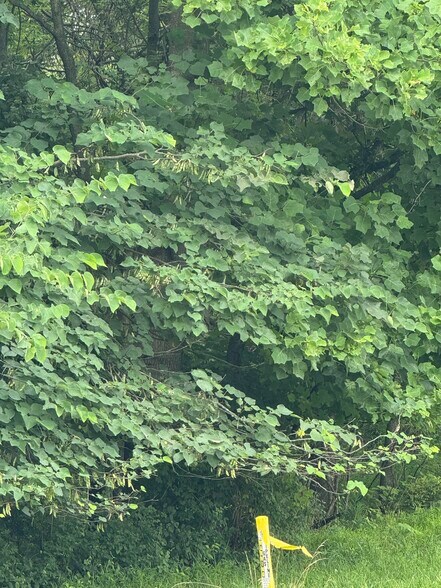 More Photos Of 2507-2513 Jefferson Pike, Knoxville Land For Sale