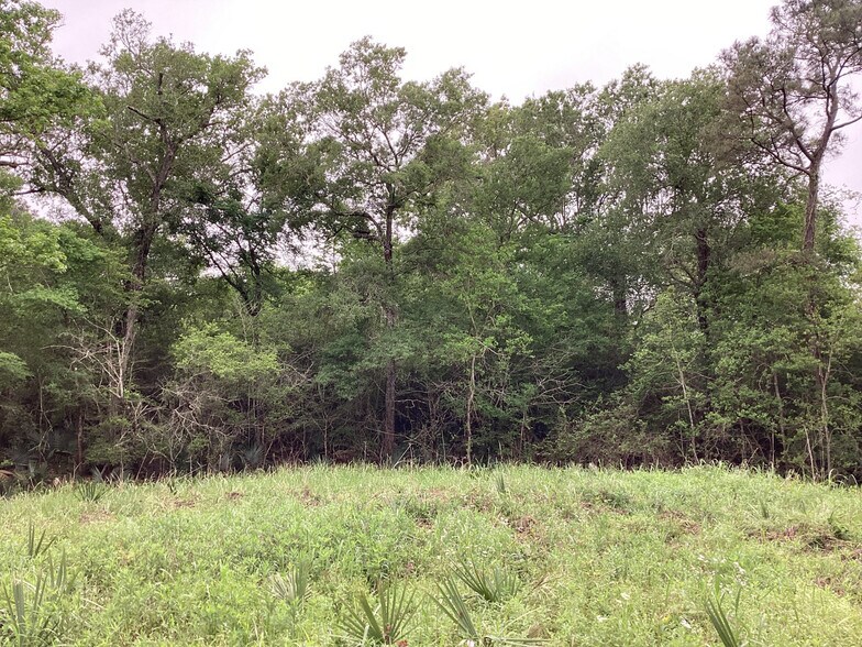 More Photos Of 0 County Road 4876, Dayton Land For Sale