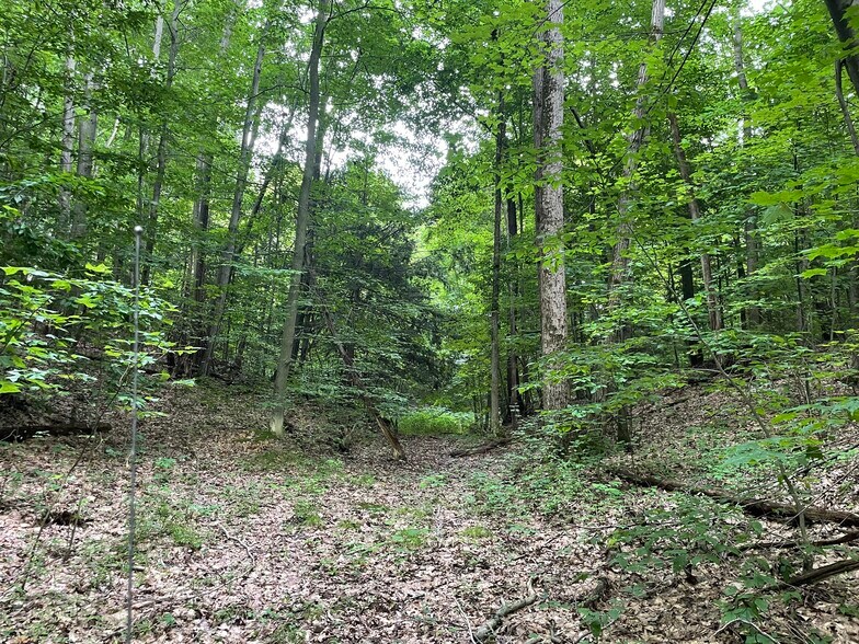 More Photos Of 52 Nestle Dr, Fulton Lodge Meeting Hall For Sale