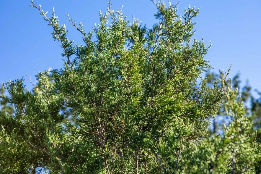More Photos Of 19 Old Fredericksburg Rd, Boerne Land For Sale