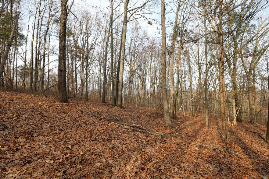 More Photos Of 625 Broadway, Ulster Park Land For Sale