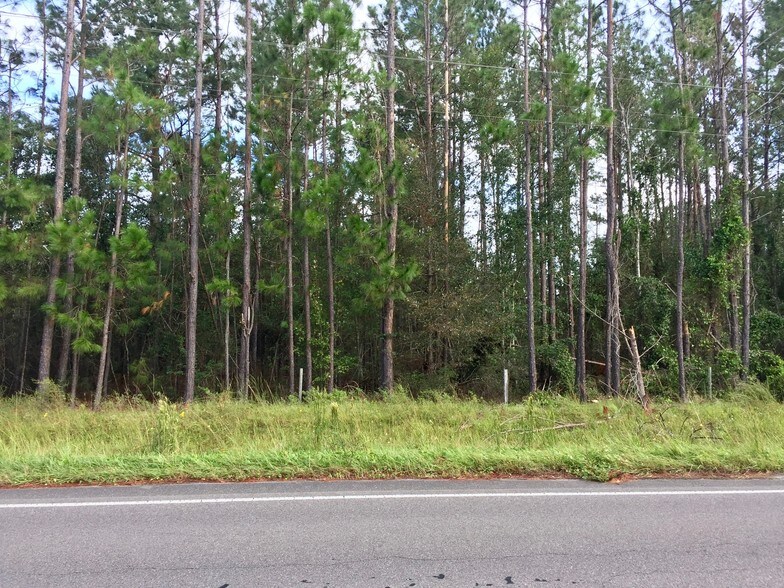 Primary Photo Of 15499 County Road 121, Bryceville Land For Sale