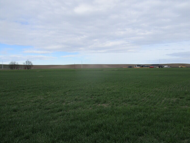 More Photos Of tbd Bunchgrass Lane Walla Walla County, Walla Walla Land For Sale