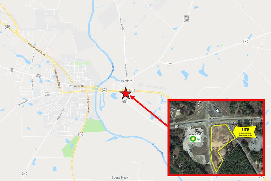 Primary Photo Of 110 Eastman Hwy, Hawkinsville Land For Sale