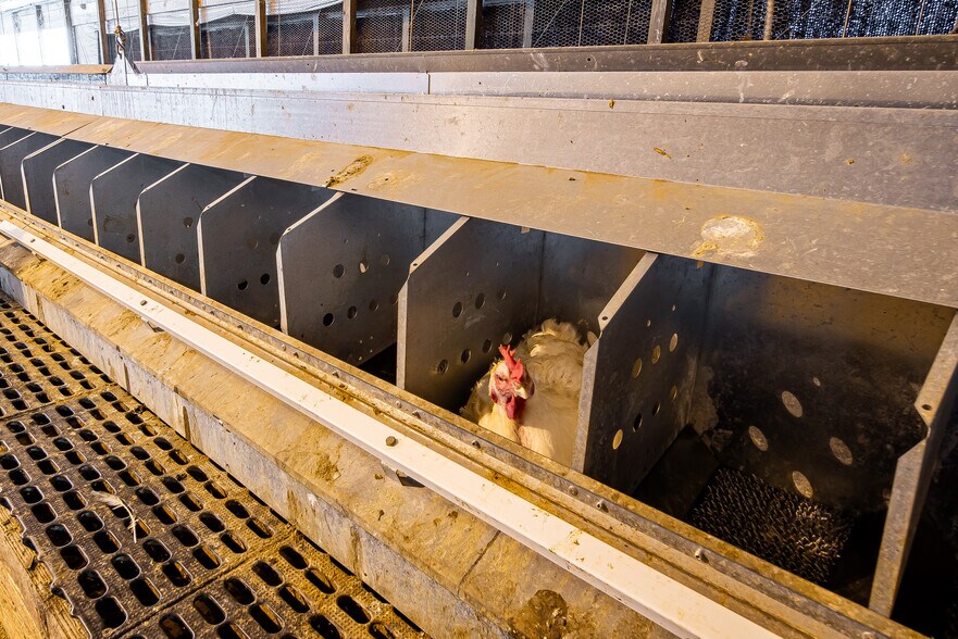 More Photos Of 1291 Myron Hart Rd, Coolidge Land For Sale