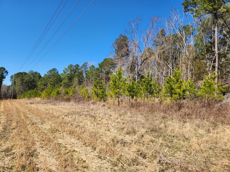 More Photos Of 3004 U.S. 401 Hwy, Louisburg Land For Sale