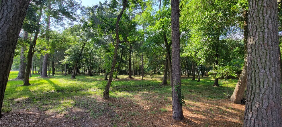 More Photos Of 00 Kirby Blvd. rd, Seabrook Land For Sale