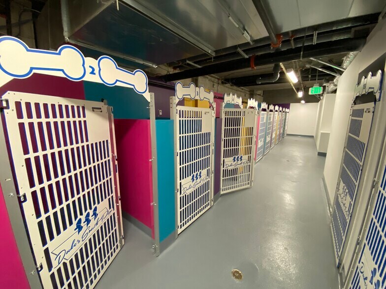 More Photos Of 1243 S Olive St, Los Angeles Apartments For Lease