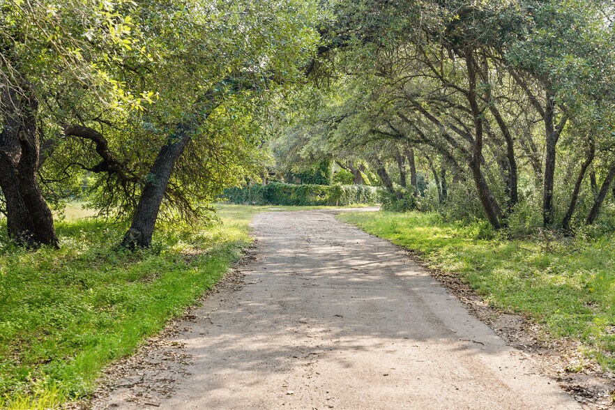 More Photos Of 534 County Road 407, Spicewood Land For Sale