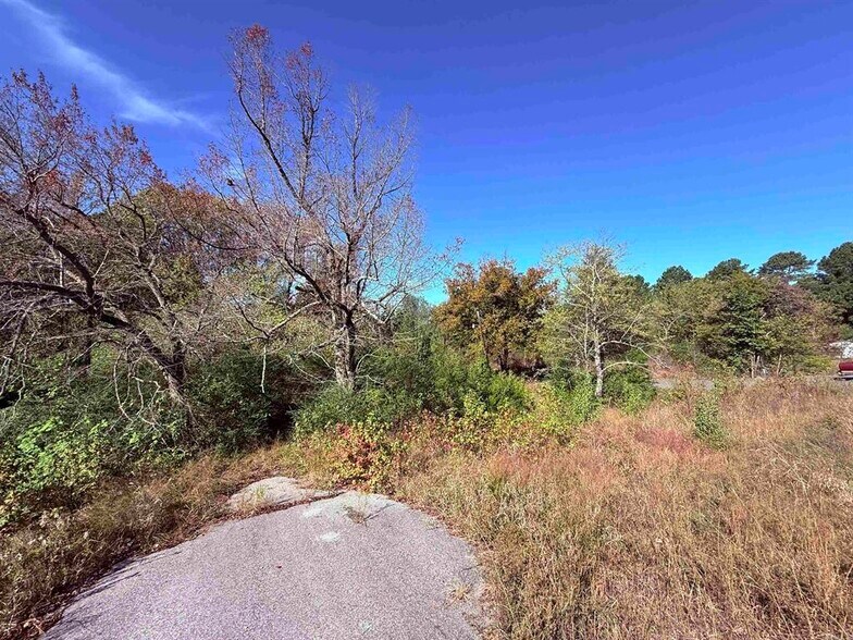 More Photos Of 101 Indian Trl, Bald Knob Land For Sale