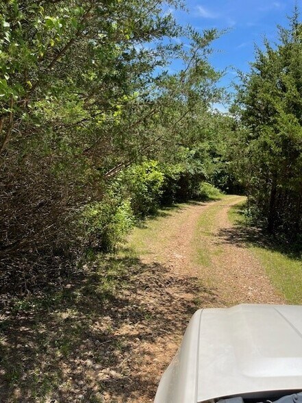 More Photos Of Carnation Ln @ Hwy 76, Cape Fair Land For Sale