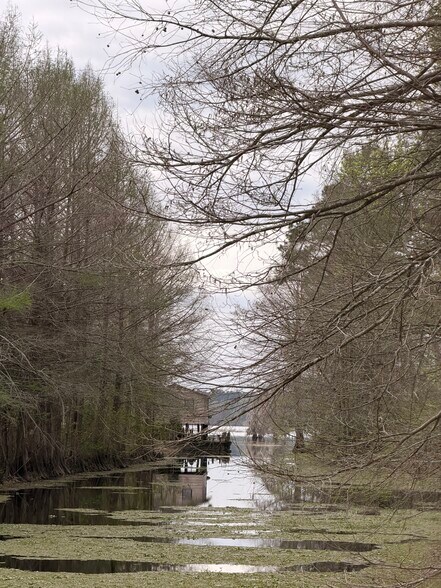 More Photos Of 1247 Foreman rd, Doyline Land For Sale