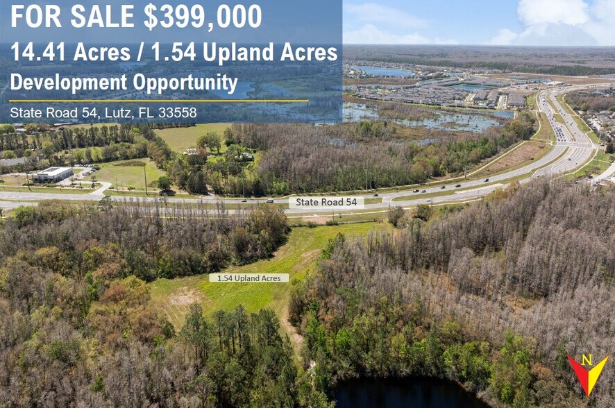 Primary Photo Of State Road 54, Land O' Lakes Land For Sale