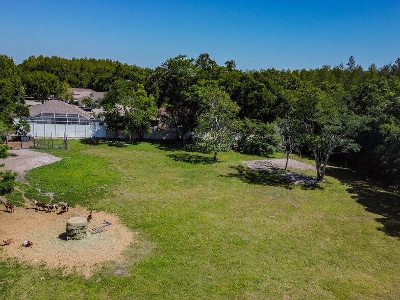 More Photos Of 14831 Shaw Rd, Tampa Land For Sale