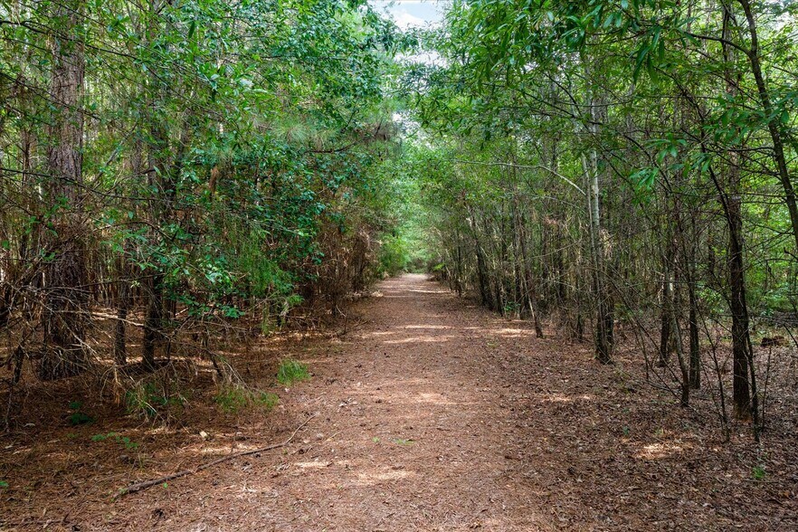 More Photos Of 737 Burnt Mill Creek Rd, Mountville Land For Sale