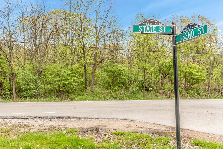 More Photos Of 1365 State St, Lemont Land For Sale