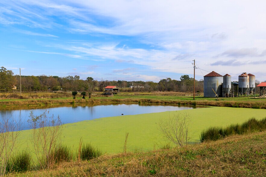 More Photos Of 1907 Old Cedartown Rd, Cedartown Land For Sale