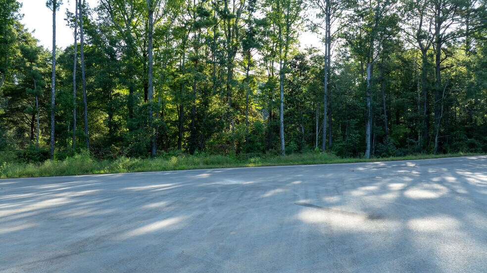 More Photos Of 62 Turin Rd, Senoia Land For Sale
